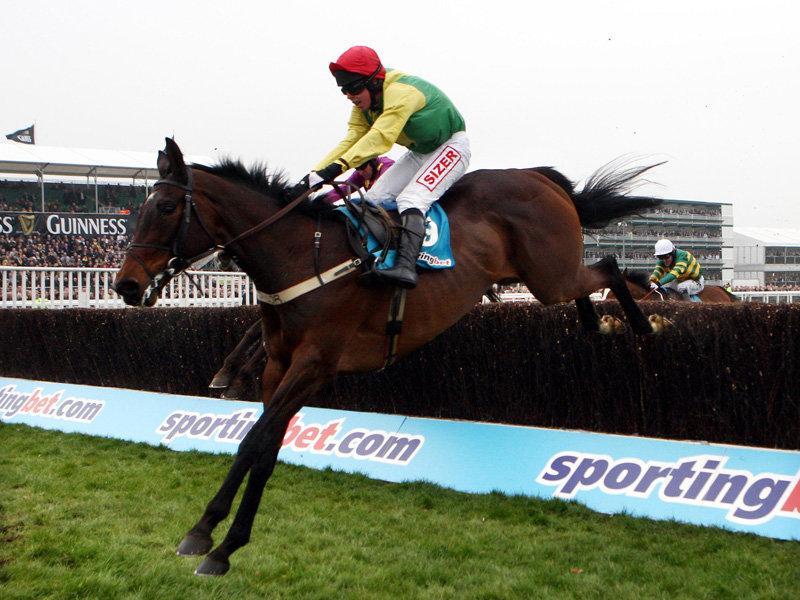 racecaller's tweet photo. Simply phenomenal horse, enjoy your retirement #SizingEurope
Well done to all the @HenrydeBromhead team #GreatCareer http://t.co/FwTqJr1Rm2