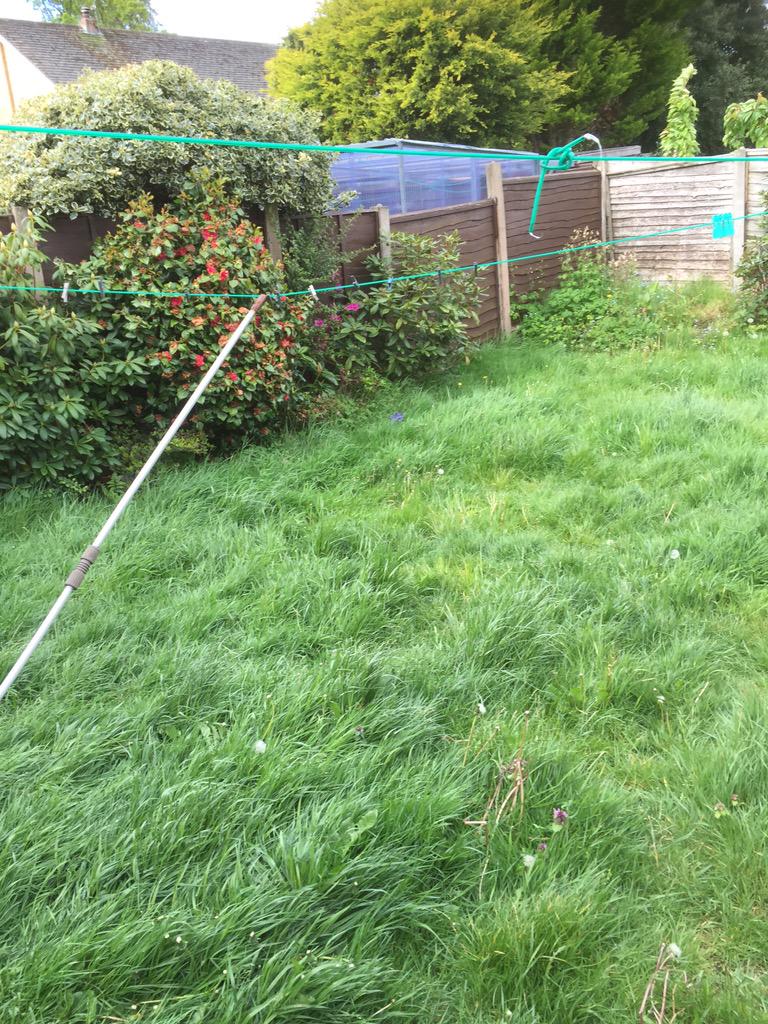 AWPGardens's tweet photo. Garden clearance this morning http://t.co/3s5914rbQW