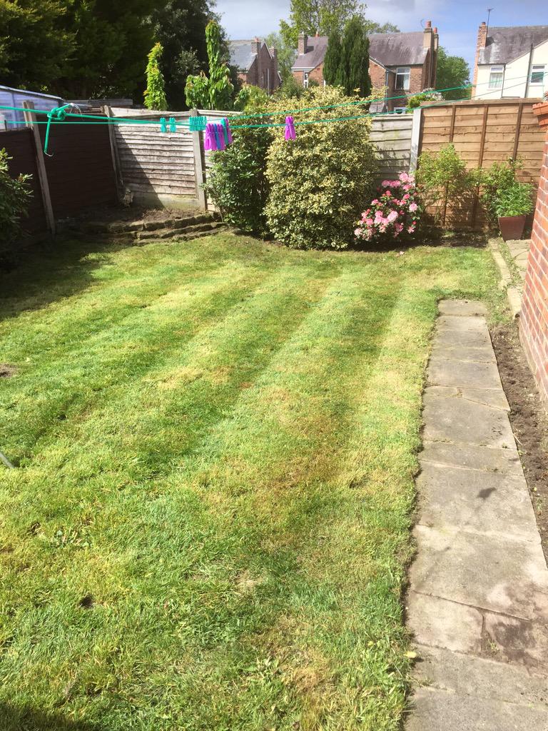 AWPGardens's tweet photo. Garden clearance this morning http://t.co/3s5914rbQW