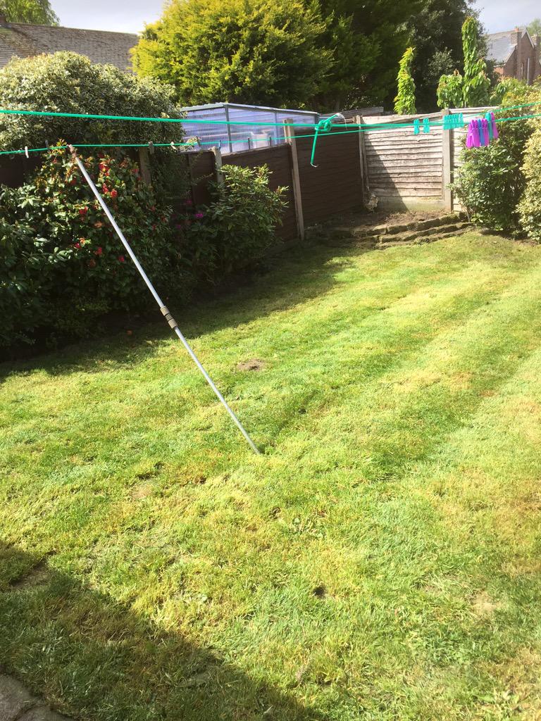 AWPGardens's tweet photo. Garden clearance this morning http://t.co/3s5914rbQW