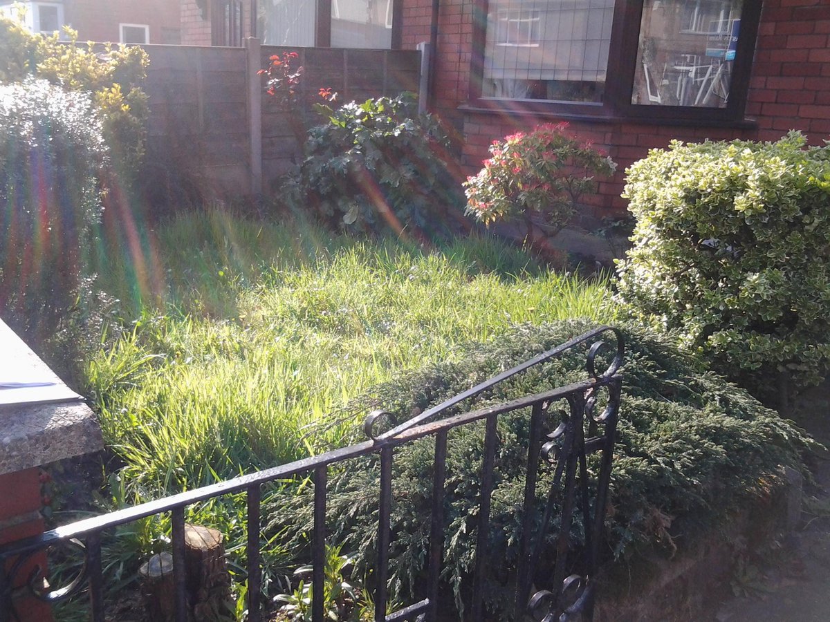 TrustMojo's tweet photo. MojoTrust @TrustMojo Project Works team busy improving #gardens in #Bolton http://t.co/GF5AjxSDTR