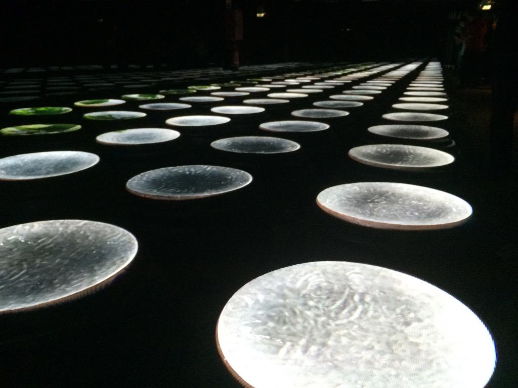 rachelequel's tweet photo. Come si può nutrire il mondo? @koreapavilion20 risponde così... #gNeLab a me sinceramente non sembra una risposta http://t.co/XX1L3moTwW