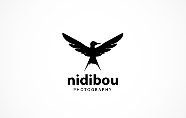 logorium's tweet photo. #logo of the day >> nidibou photography by Adam >> http://t.co/MSQ0WhWmEc #creative #brand #design http://t.co/tHwU8SjuJ3