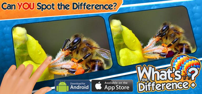 malakderwish's tweet photo. Retweet this if you can spot a difference on this level of #WhatsTheDifference! http://t.co/3vpyVupy9t http://t.co/MKk9HLtsbP