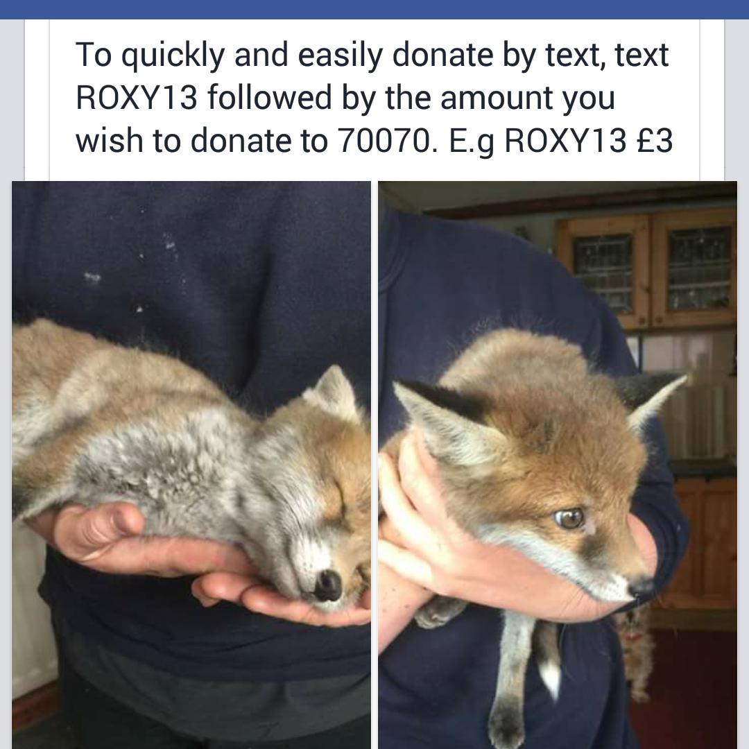 Nuneaton &amp; Warwickshire wildlife sanctuary  need your help  text ROXY13 with your amount ie £5 to 70070 please