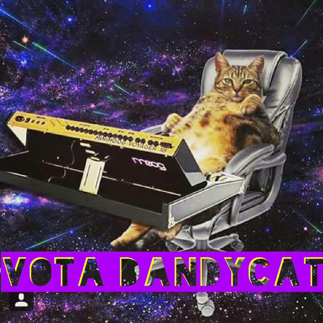 andrewpasq's tweet photo. Il 31 maggio alle #regionali vota #dandycat @raffaellapaita @primocanale @genova24 @genovatoday @LiguriaNotizie http://t.co/DgXYXLRqmK