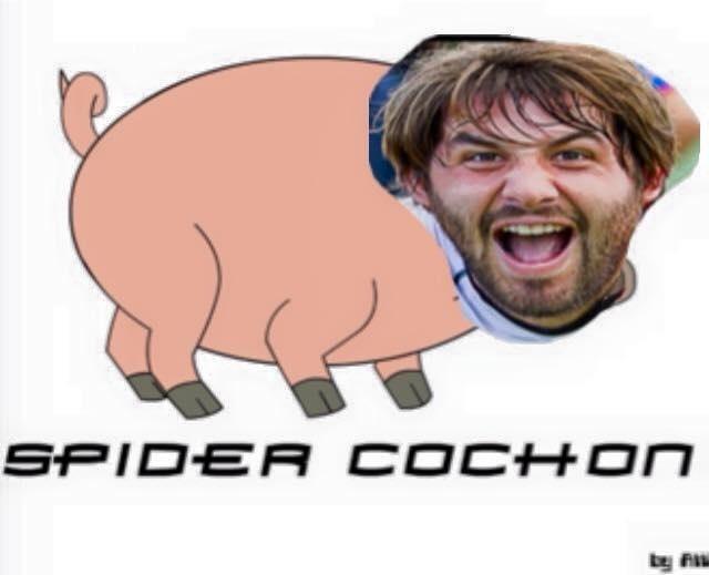 MorganTurinui's tweet photo. @StadiumLM @lillemetropole1 @GuillaumeAUGUST je trouve celui-la plus beau que Thor #spidercochon #dilhan http://t.co/hGENaQqWDt