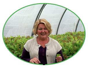 Fresh&Local tweet media