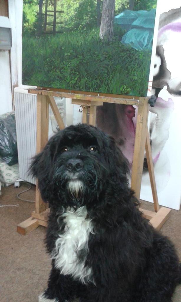 moragdonkin's tweet photo. My best pal Dougal is in the studio for the first time today! http://t.co/wiLRBI0br7