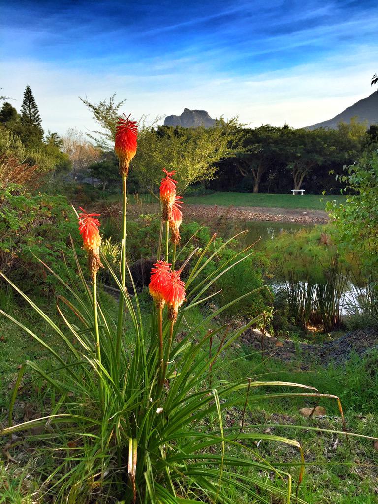 John Routley John Routley (@HoutBayJohn) | Twitter