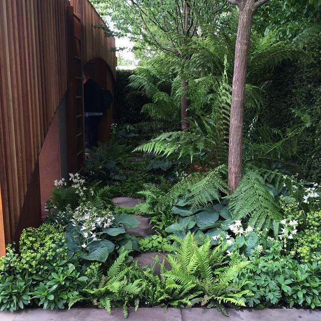 LJDurdle's tweet photo. At #RHSChelsea today, this space at the back of one garden is so dark, lush and peaceful http://t.co/1LbbvaDRMH