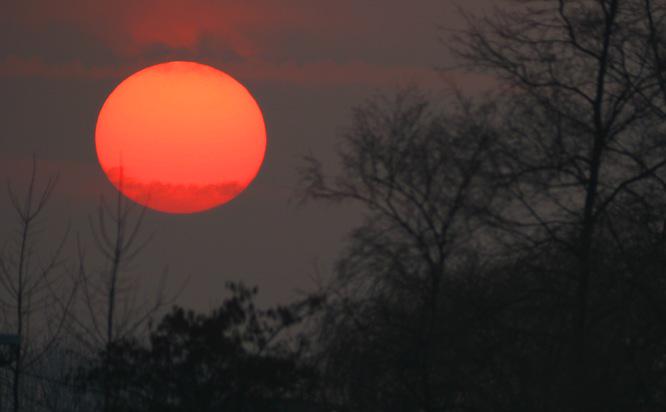 Springlevende's tweet image. Het is eigenlijk wel eens fijn om te wandelen, de zon komt langzaam op.