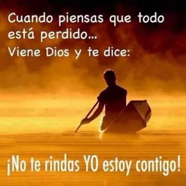 VgpSanto's tweet photo. http://t.co/sjCysKrgDR