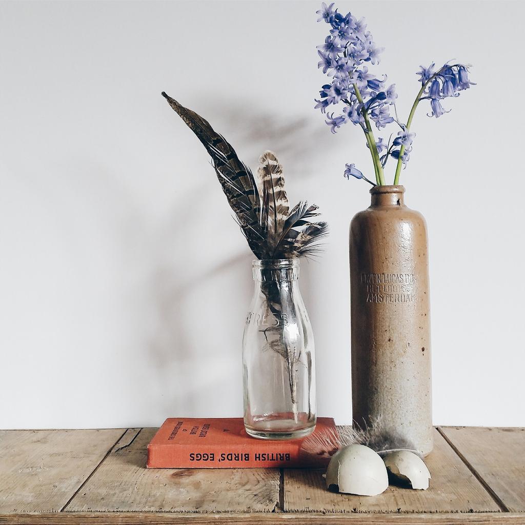 harryandfrank's tweet photo. A little collection
Vintage stoneware from Amsterdam, gathered feathers and birds egg and bluebells from the garden x http://t.co/NdKG8RriuF
