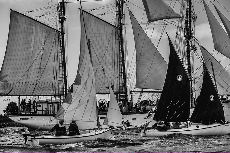 cecilBphotograp's tweet photo. #adventure #Bretagne #semainedugolf #sailing #morbihan #belouga http://t.co/gttLAiCSM9