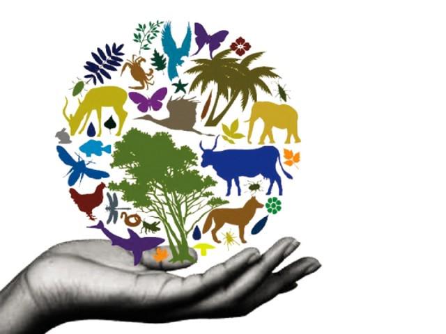 Food Tank tweet media