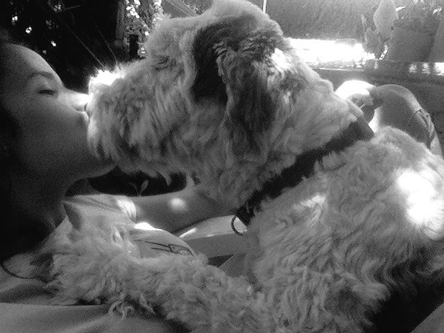 beabeitabeu's tweet photo. 🐶❤️❤️ http://t.co/AwTt72ek2s