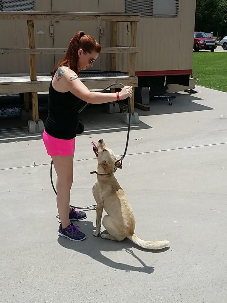 ACO5530's tweet photo. Diyah was returned back to her owner http://t.co/sE9iW7kRBa