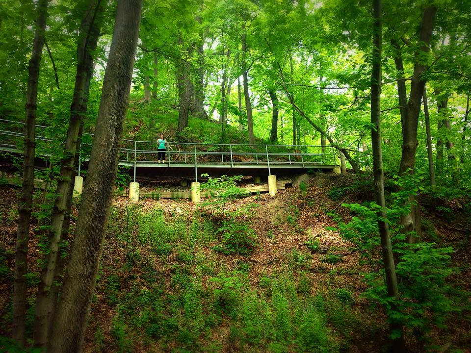 meplusbea's tweet photo. Gorgeous, sunny Saturday in Toronto. Perfect for an early morning hike to the farmer's market! http://t.co/aaCTRNE6OT