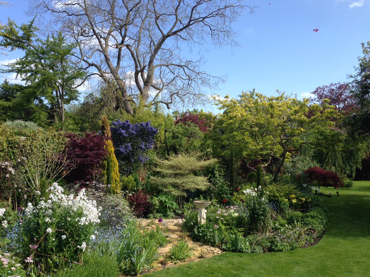 My garden in Oxford <a href="/TheMontyDon/">Monty Don</a>
1st photo is garden when moved here in January 2010.  2nd and 3rd is 5 years on. Em
