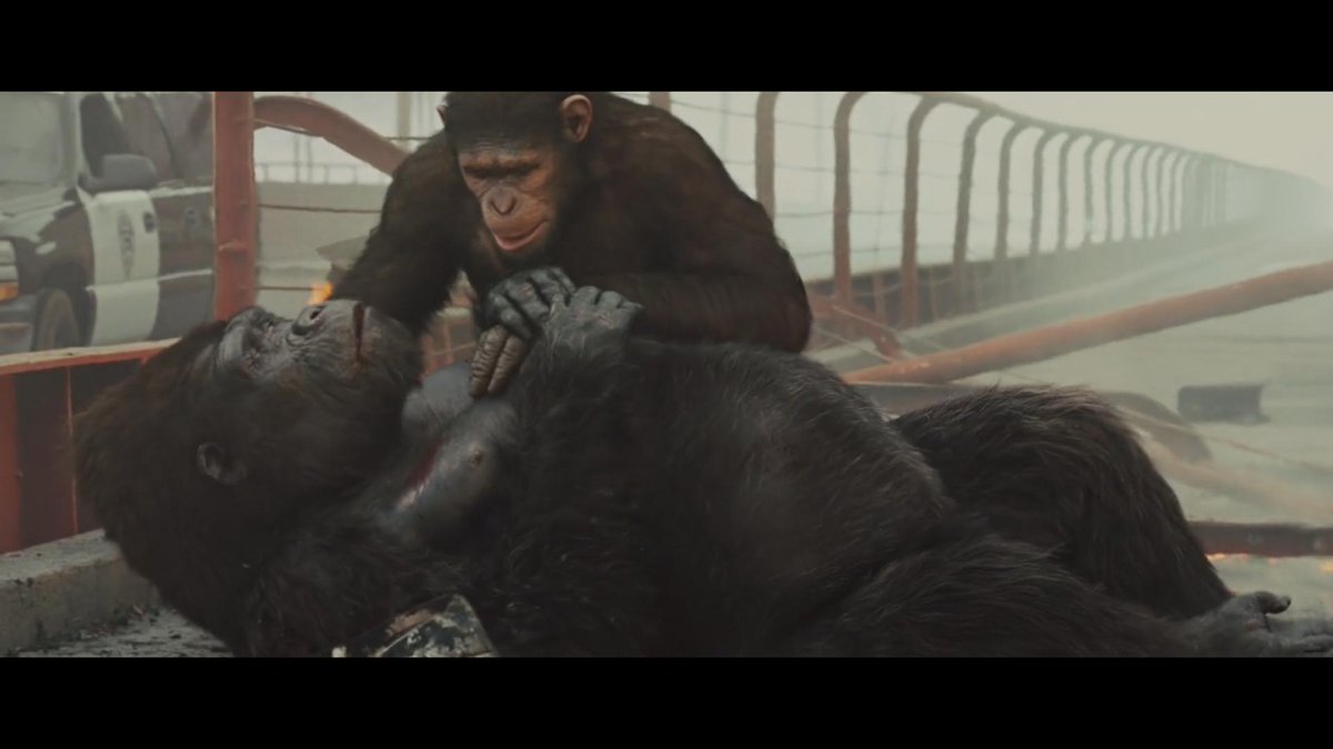 Daiju Sakashita ここ数年の映画鑑賞メモ見ながら映画を観て泣いた記憶を掘り起こしてたら 最後に映画館で映画を見て泣いた瞬間が猿の惑星 創世記のゴリラ特攻であることが発覚 Http T Co Imz1qfwgun Twitter