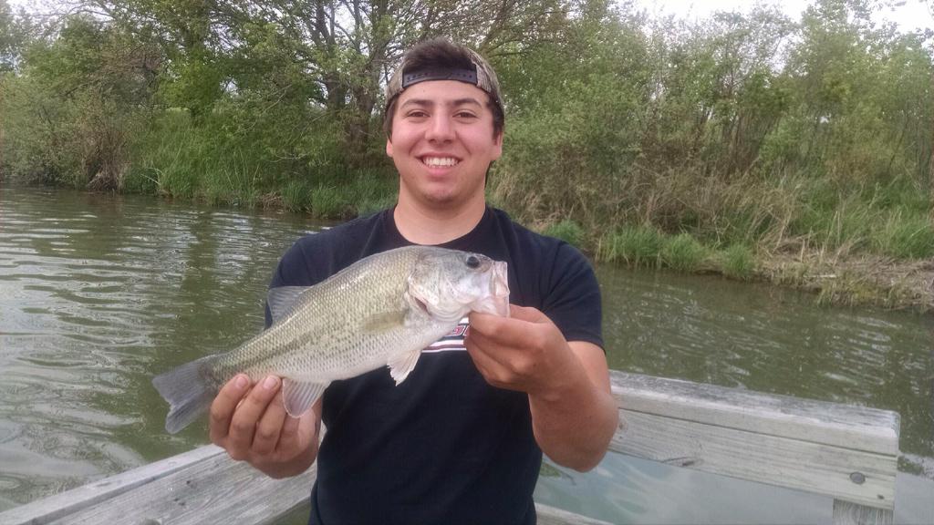 FishingMichiga1's tweet photo. One of my bass from the other day. Texas rig. http://t.co/JpxOFVzyc3