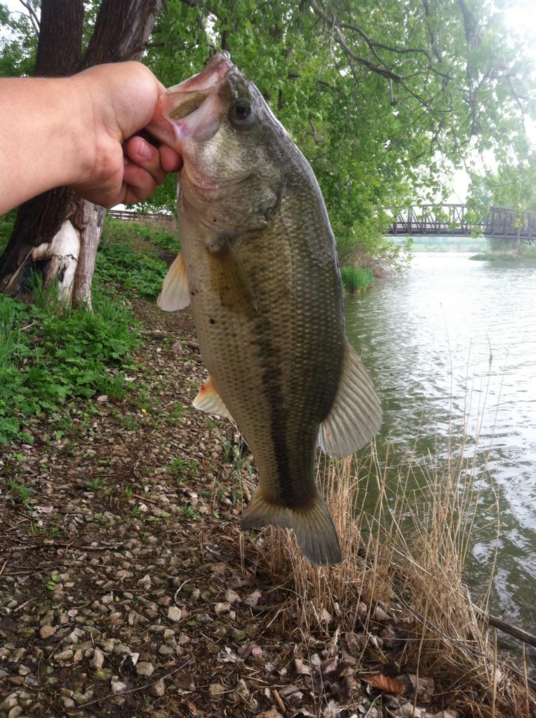 FishingMichiga1's tweet photo. Another chunk. http://t.co/RDrY5TAUSM