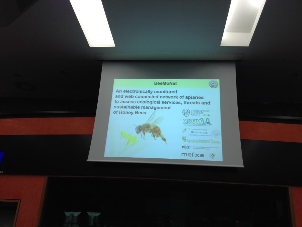 mbgatto's tweet photo. #BeeMoNet le api stanno morendo. Il loro futuro è il nostro futuro. http://t.co/UtVliCHBns