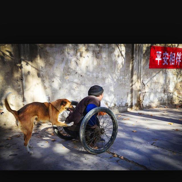 kerrinmangan's tweet photo. @domdiddles 😂😂😂♿️♿️♿️jus goin the grotto 😂😂😂😂😂😂 mans best friend xx http://t.co/SY4vXoUpNQ