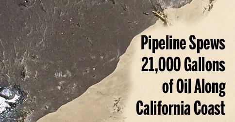 EcoWatch's tweet photo. Pipeline Spews 21,000 Gallons of Oil Along California Coast http://t.co/IW3kx3TFw0 @Waterkeeper @SierraClub #OilSpill http://t.co/wggHbLAFYt