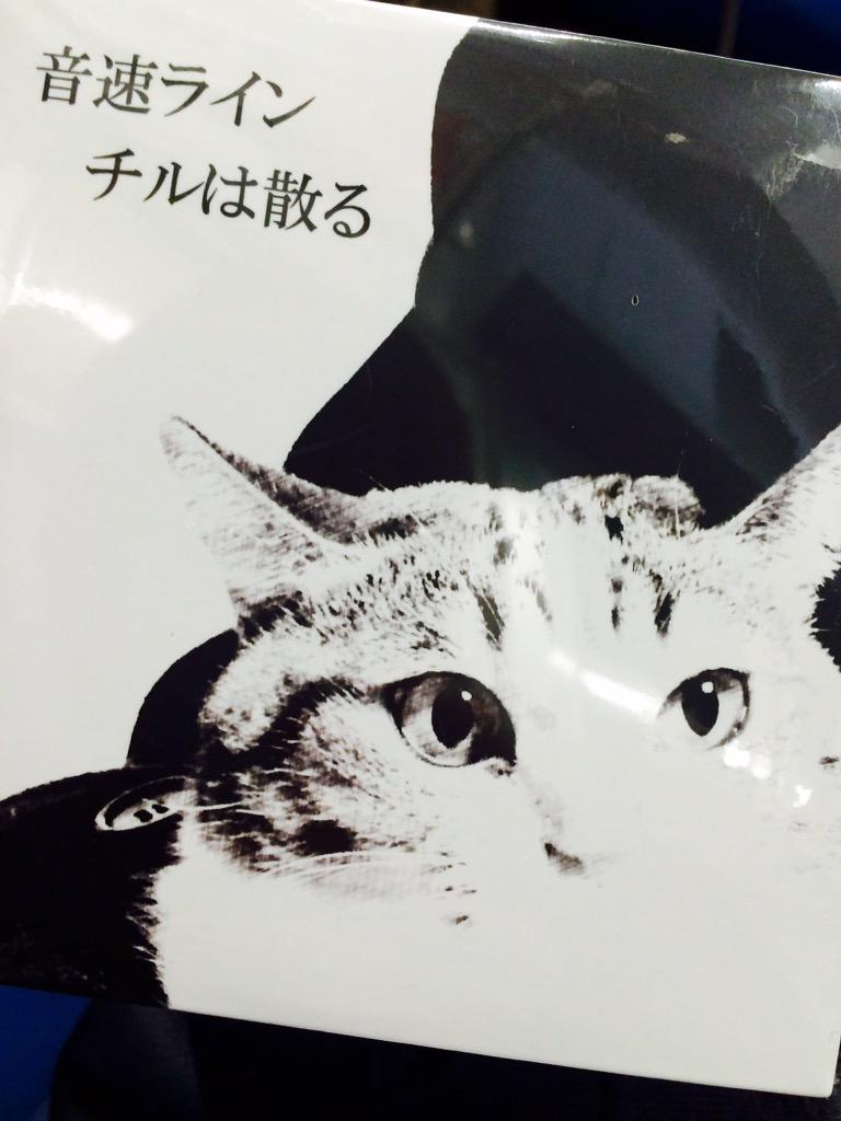 onso9fujii tweet picture