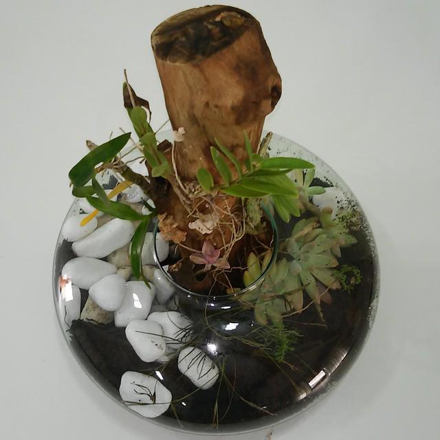 insta_arduino's tweet image. ift.tt/1EXHUQ9 - #terrarium #steponecomplete #arduino #automation #makers #dht #… ift.tt/1Ht9U2m