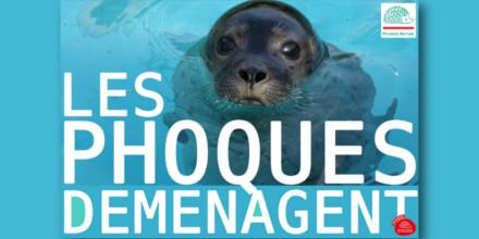 PicardieNature's tweet photo. On lance un #appeladons pour déménager notre centre de soins des #phoques en #baiedesomme http://t.co/Umapp09c0V http://t.co/Cez4TGmCwq