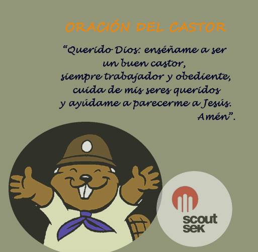 scoutsek's tweet photo. Estrenamos apartado en la web: "Oraciones #scout"
http://t.co/avutnokUfl
@scoutsmsc @Scoutsmalaga @scoutsur http://t.co/zySssx6pUw