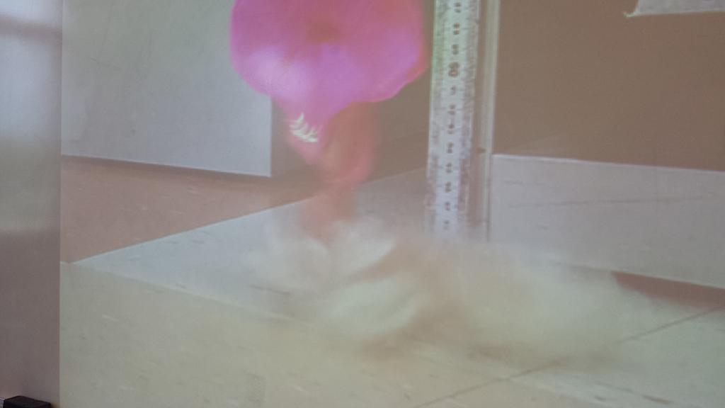 JoeSlifka's tweet image. We completed the #BarbieBungee project from 3 meters yesterday and one group was wildly successful!