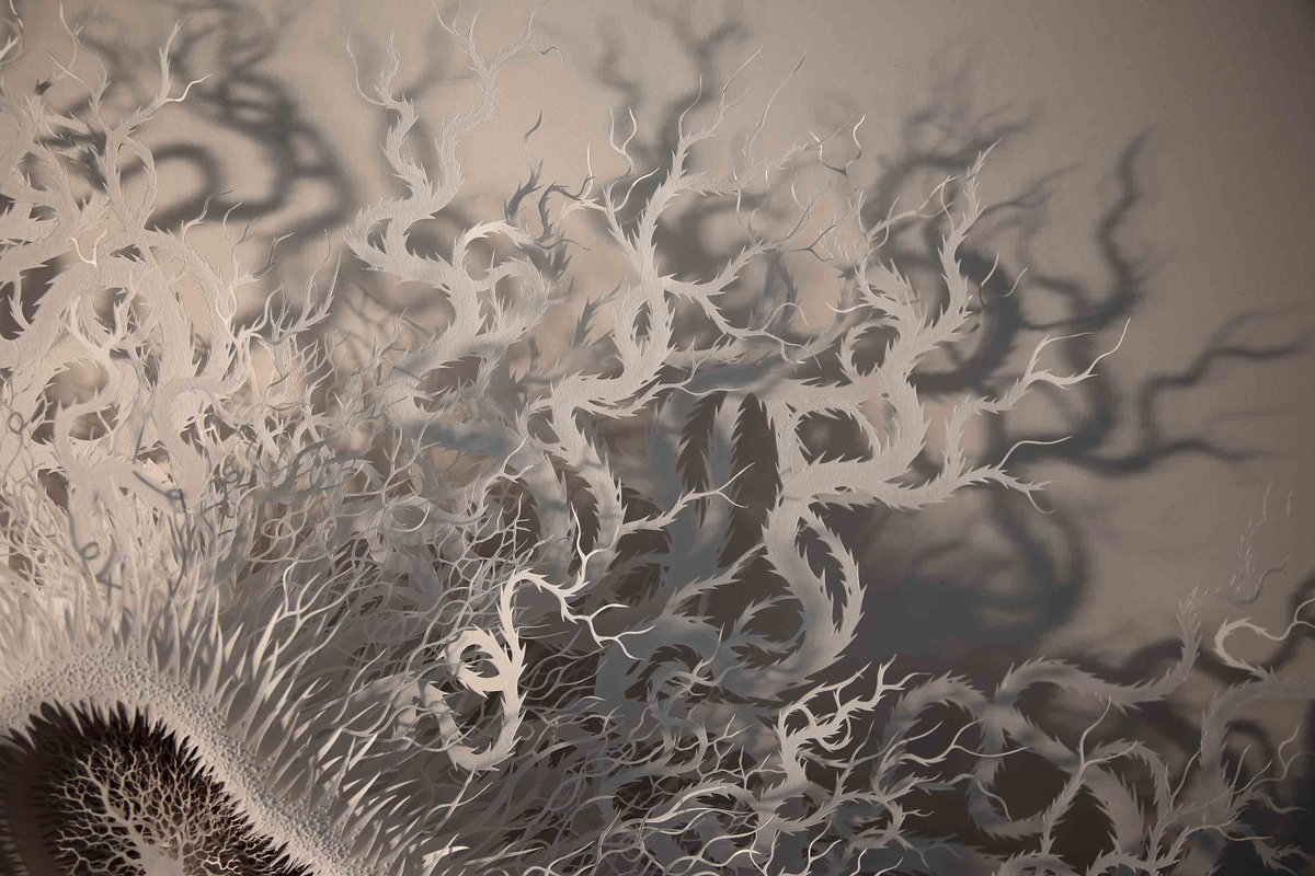 eden_media_team's tweet photo. Some of the amazing exhibits in the Invisible You: The Human Microbiome exhibition opening this Friday @edenproject http://t.co/1hXqXjpwn5