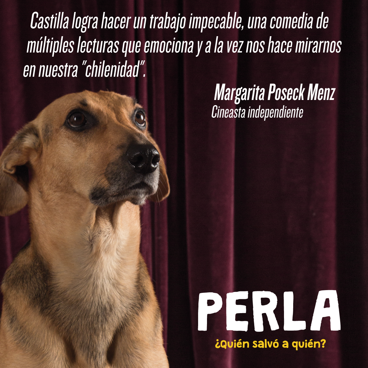 SOS_Animales's tweet photo. DESDE HOY YA PUEDES DISFRUTAR EN LOS CINES DE @PerlaPelicula  http://t.co/gViByrIihE @AnimalParaiso @bartorell @Terrier_Chileno