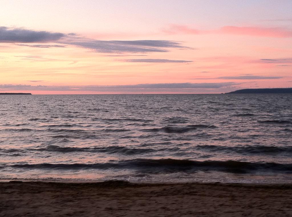 Squirrelboy45's tweet image. 