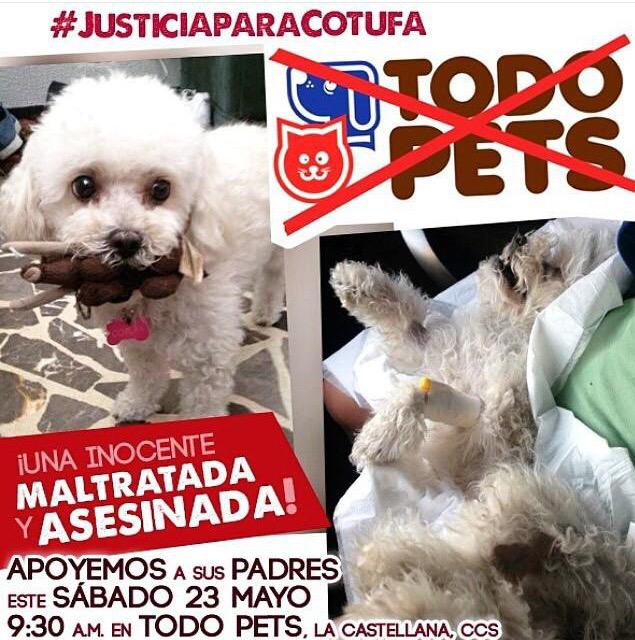 DankroftK9's tweet photo. YA BASTA! #NoAlMaltratoAnimal #JusticiaParaCotufa RT MASIVO 🐾‼️🆘 http://t.co/g25uUUA2ag APOYO TOTAL #ccs #Venezuela http://t.co/RJept5IsRc