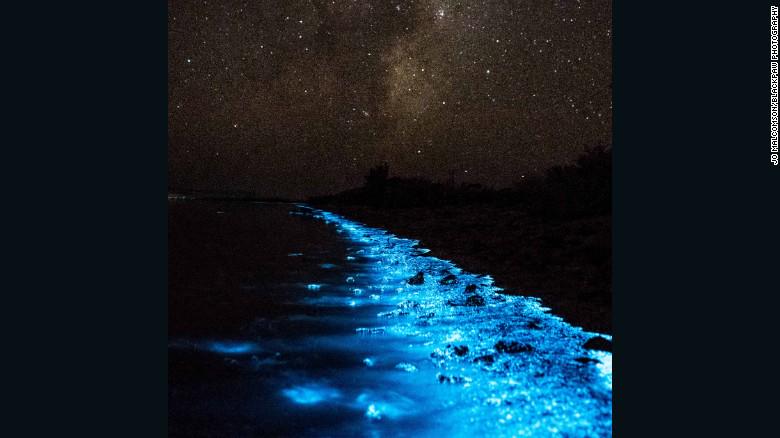 CNNSocialDesk's tweet photo. Bioluminescence is turning Australia's coastlines blue: http://t.co/NgIqxd2EZn http://t.co/76baLSmYHm