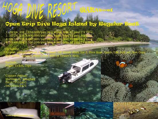 Open Trip Dive Hoga Island Wakatobi