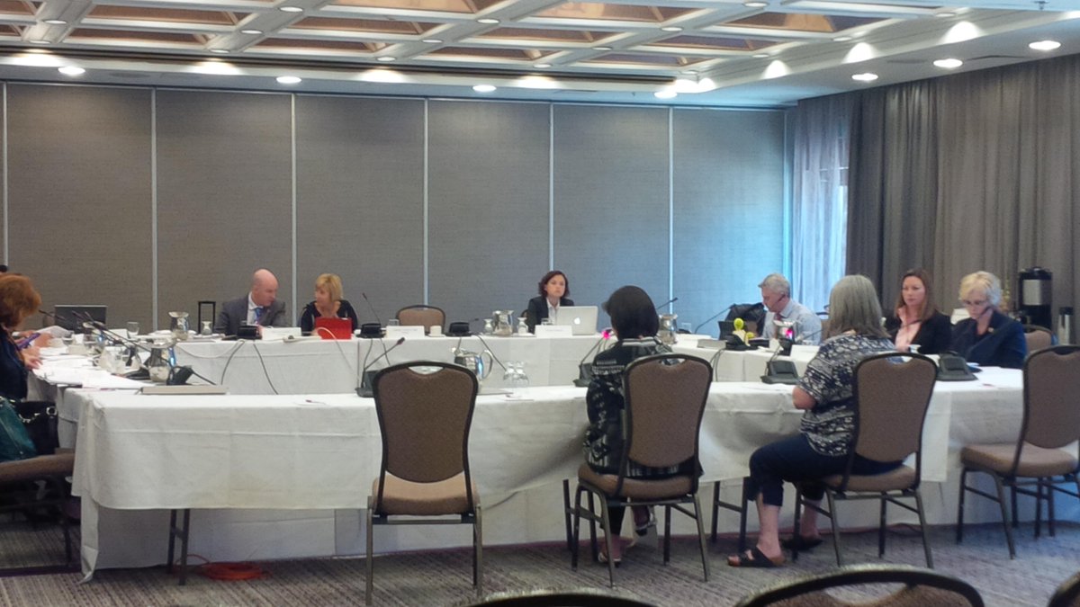 SASCWR's tweet photo. Proud of our sister organization @SACBrant, presenting to the Select Committee. Important focus on aboriginal women! http://t.co/pO5fS9FPFG