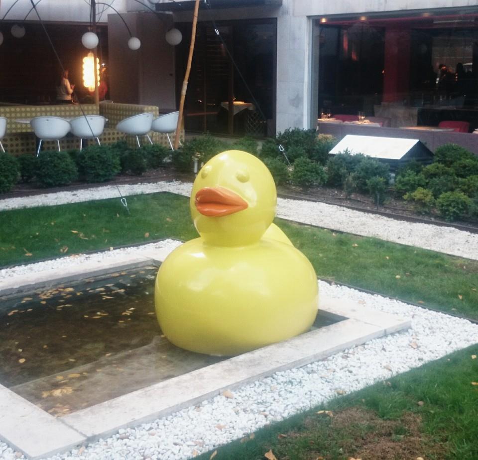 Nuestro patito nada la mar de feliz en la terraza de THE HALL. #RoséSpringtime thehall.es