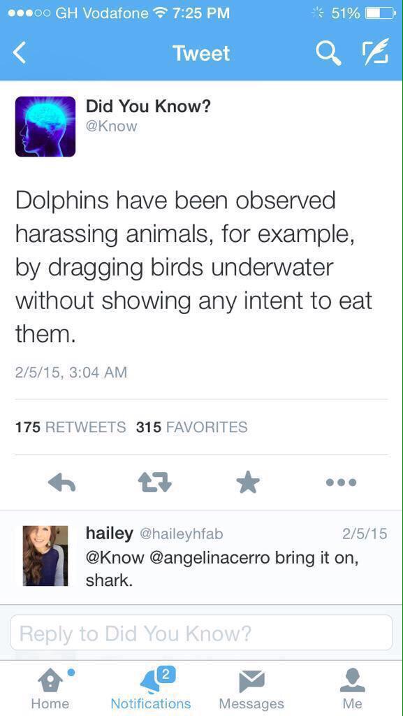FunnyPicsDepot's tweet photo. Dolphins have no chill http://t.co/ctnyW3QMvD