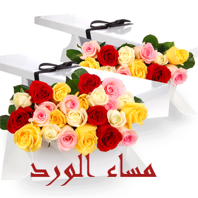 1556587aa's tweet photo. @sss223082 http://t.co/xx5aLzX1Ra
