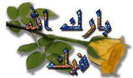 1556587aa's tweet photo. @ah80057 http://t.co/zTWICNxOg5