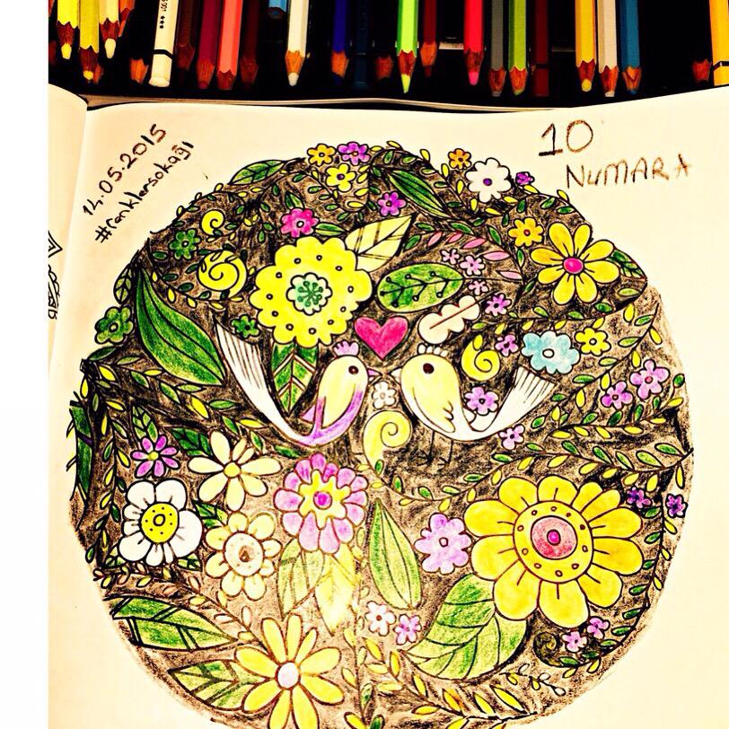 mpa2017's tweet image. #Repost @renklersokagi with @repostapp.
・・・
#renklersokağı #büyükleriçinboyama#büyükleriçinboyamakitabı #foxtv