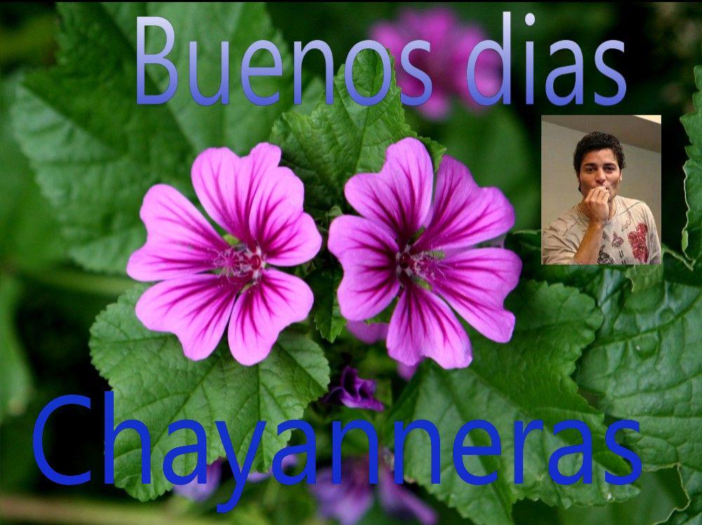 ApasionadasGdl's tweet photo. Buenos dias feliz y bendesido miercoles .Dios es amor. http://t.co/kpe30jbvcT
