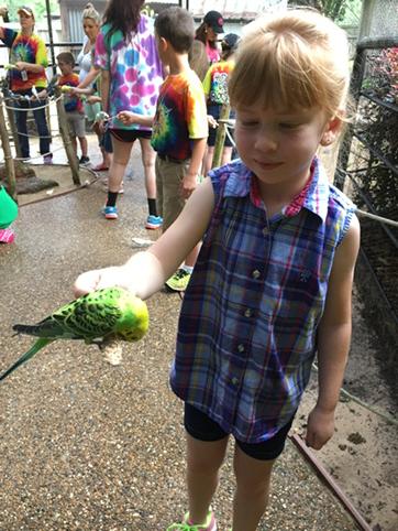 RoachShellie's tweet image. Birds if a feather! Field Trip time! @CantonElem