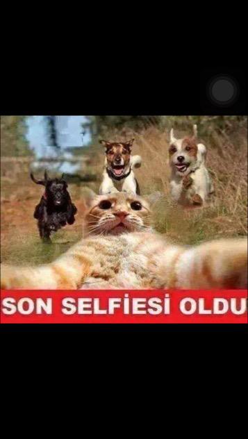 6565Mila's tweet photo. Vah vah 😄😄😄 http://t.co/2gfvrJsphc